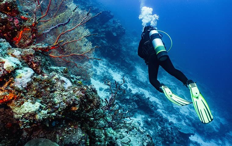 A scuba diver in the ocean